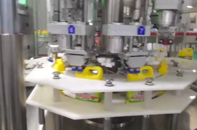 Servo Type Capping Machine
