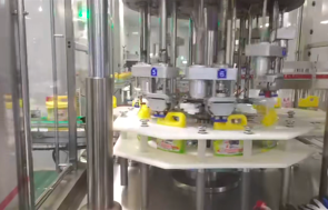 Servo Type Capping Machine