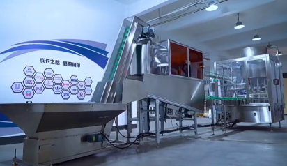 Servo Type Capping Machine